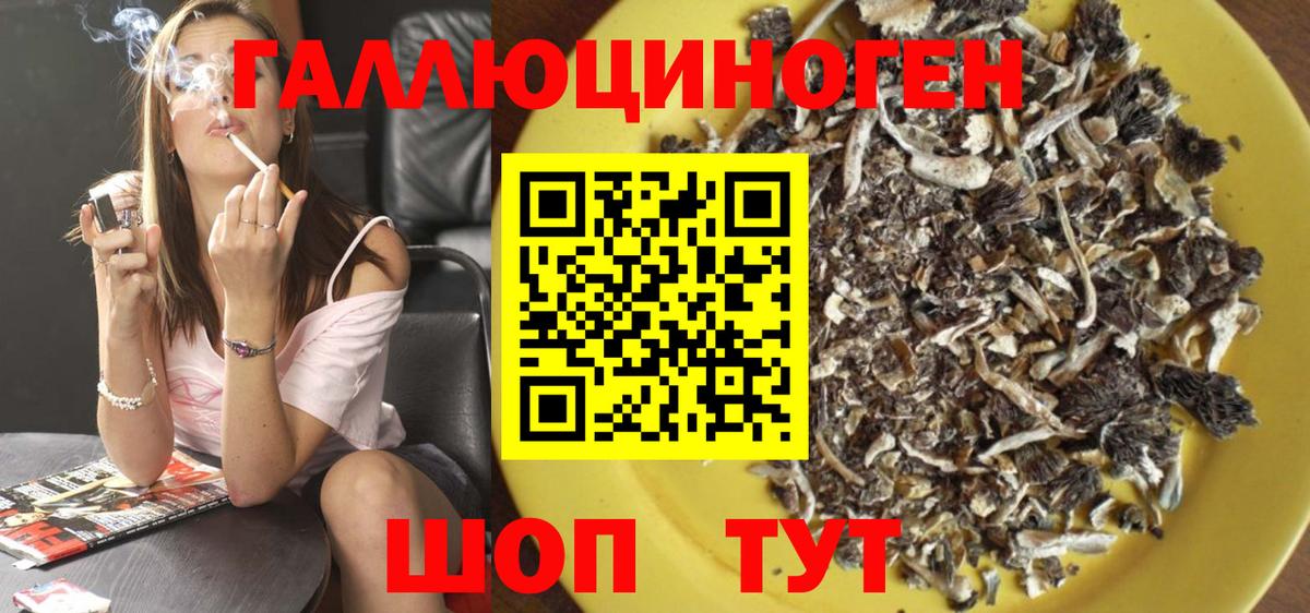 Галлюциногенные грибы GOLDEN TEACHER Нефтекумск