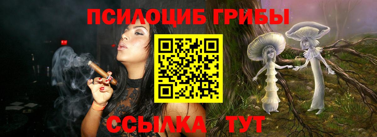 Галлюциногенные грибы прущие грибы  Вход с VPN  Нефтекумск 